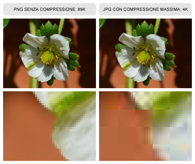 Esempio compressione immagine per web